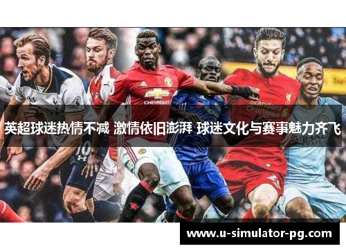 英超球迷热情不减 激情依旧澎湃 球迷文化与赛事魅力齐飞 英超球迷热情不减 激情依旧澎湃 球迷文化与赛事魅力齐飞