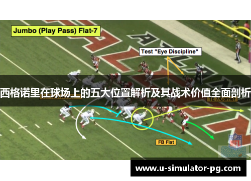 西格诺里在球场上的五大位置解析及其战术价值全面剖析