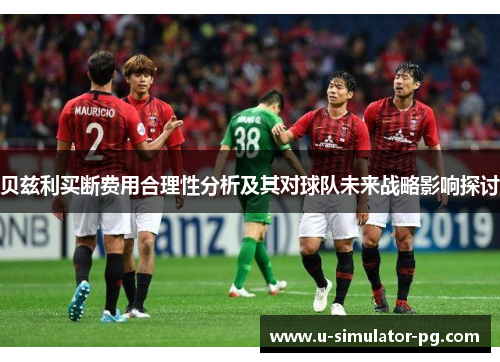 贝兹利买断费用合理性分析及其对球队未来战略影响探讨 贝兹利买断费用合理性分析及其对球队未来战略影响探讨