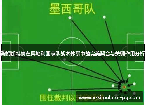 鲍姆加特纳在奥地利国家队战术体系中的完美契合与关键作用分析